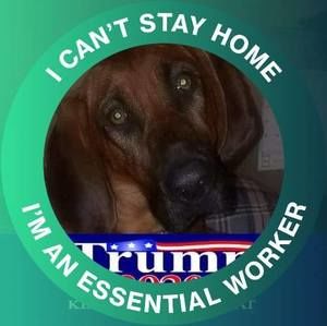 Meet your Posher, Bradley